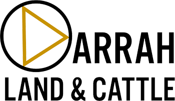 Darrah Land and Cattle logo